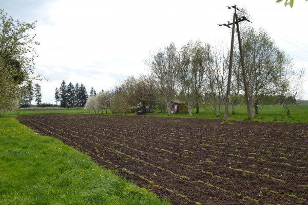 malborski, Stare Pole, Królewo, Dom wolnostojący, działka 0,5 ha,  garaż , pasieka,