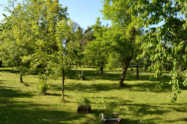 malborski, Malbork, Lasowice Małe, gospodarstwo z zabudowaniami i z ogrodem 4.500m2